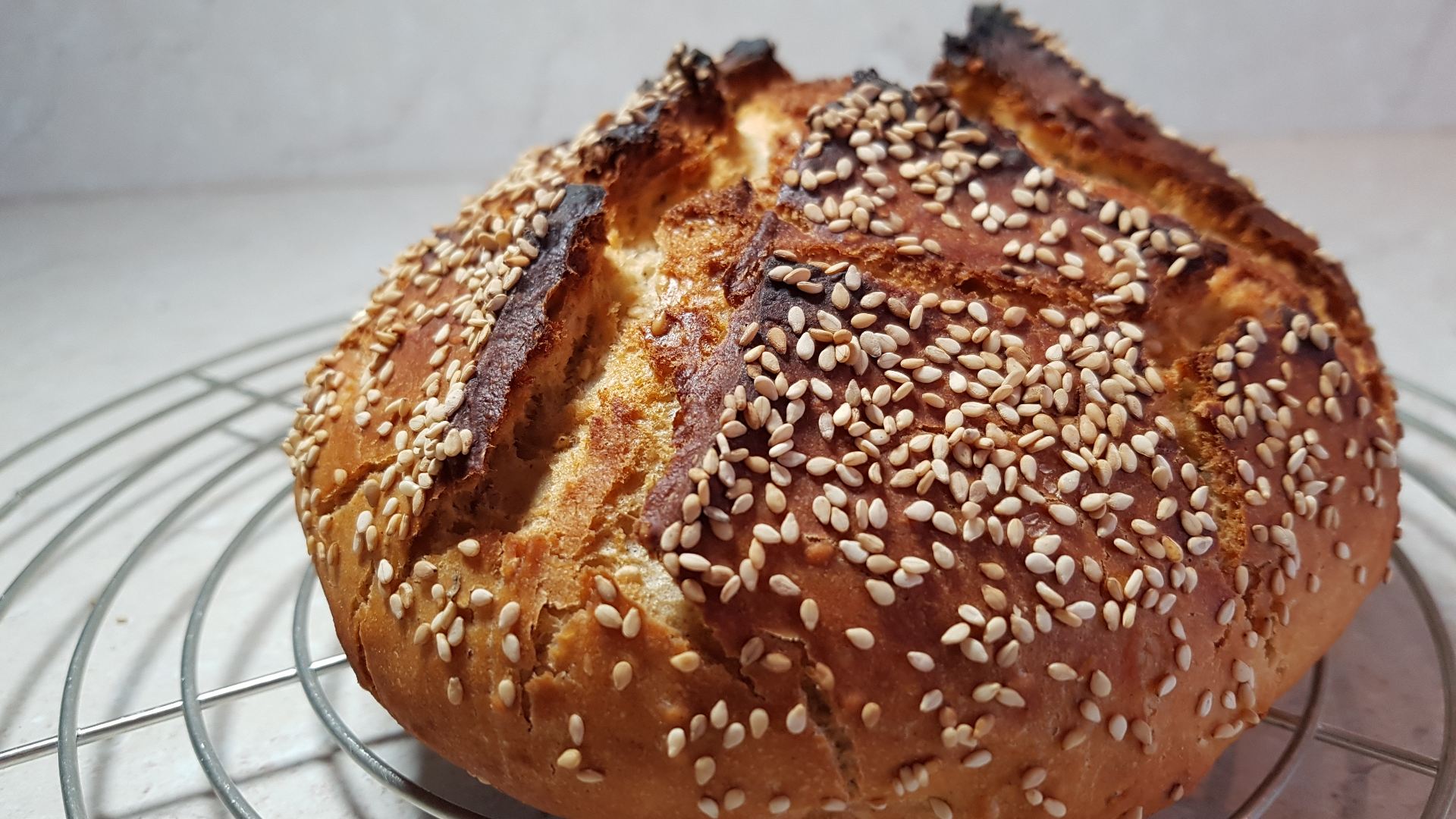 Rezept-Bild Nr.16