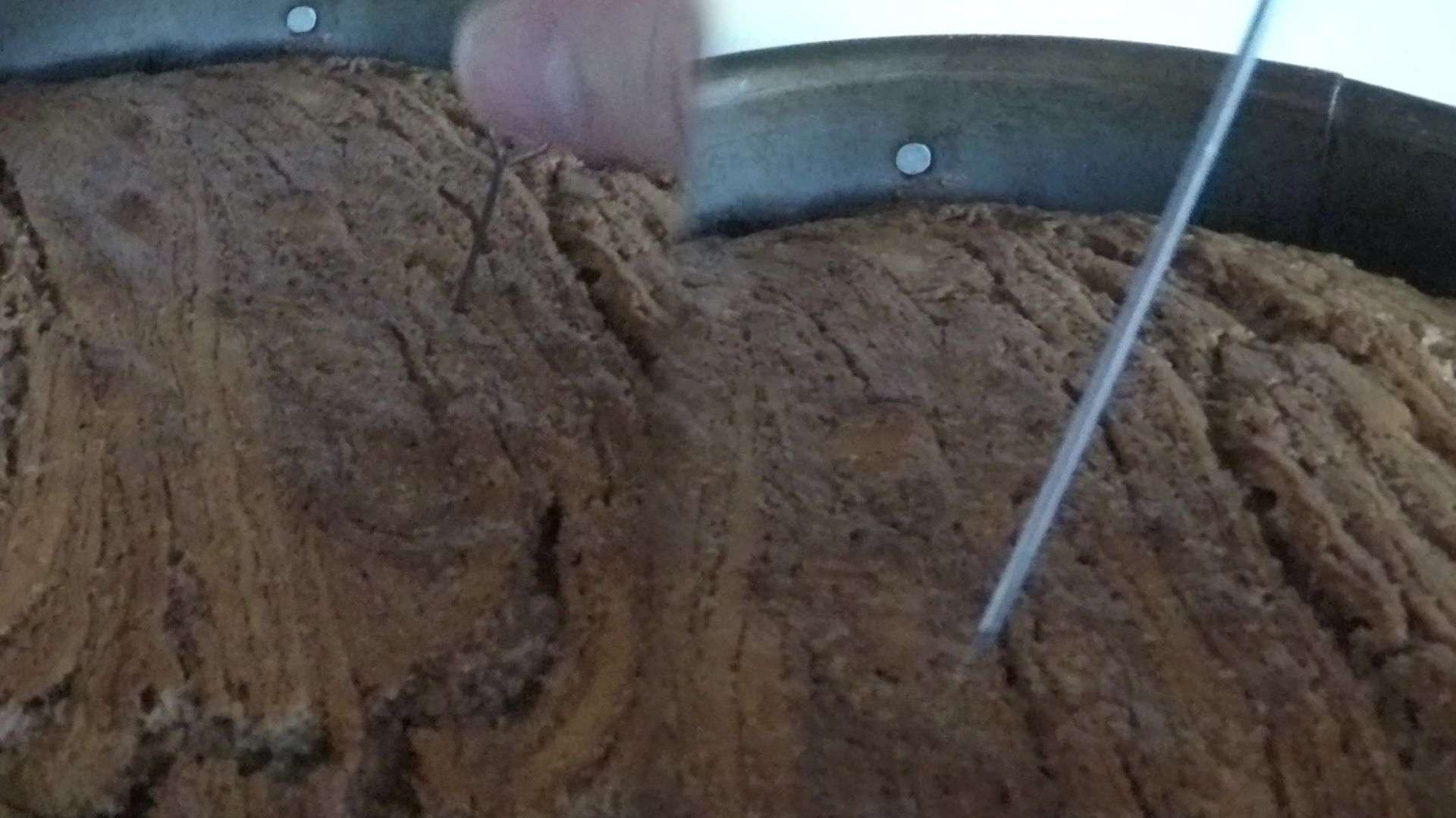 Rezept-Bild Nr.8
